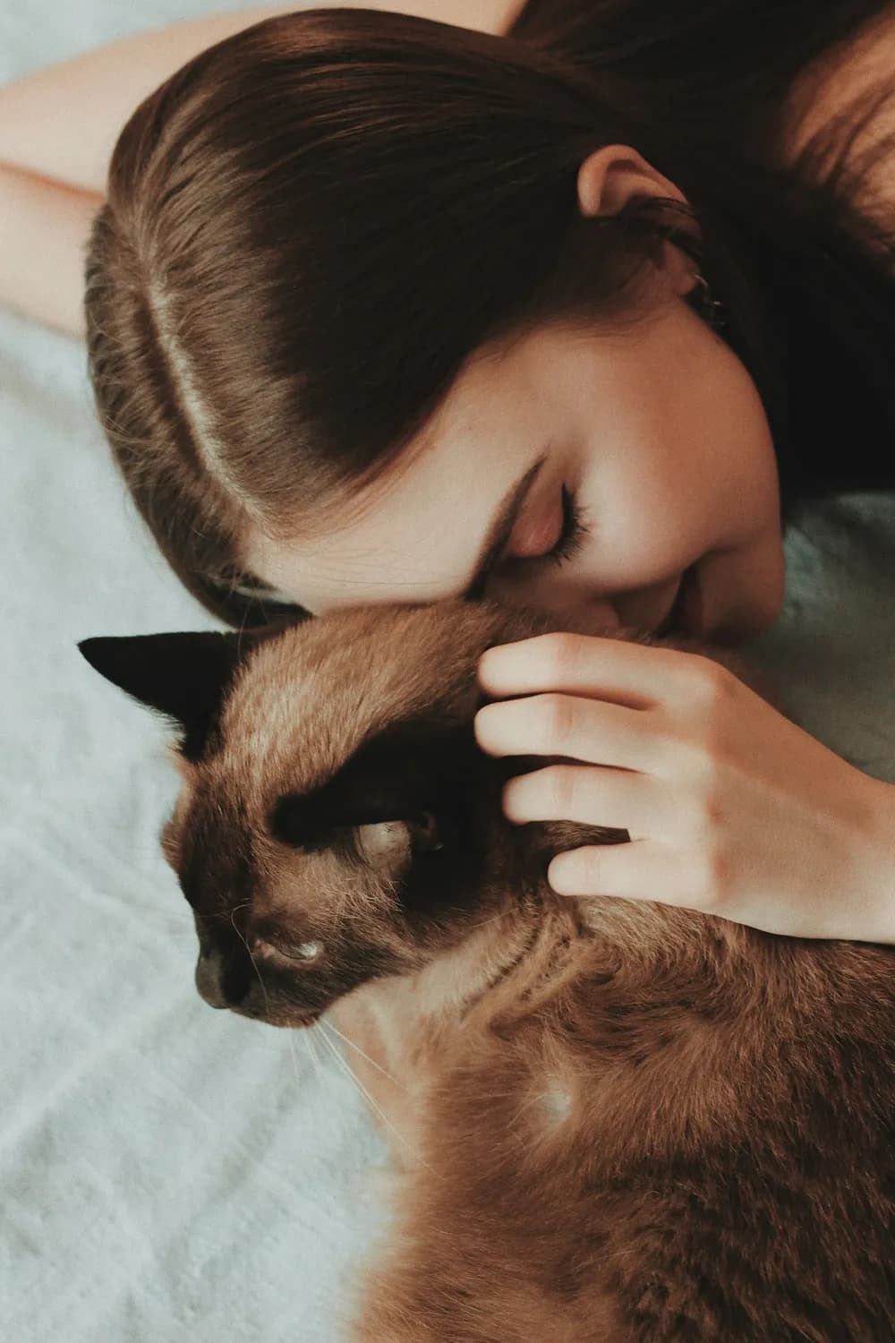 新手养猫必读：如何培养一只亲人、乖巧的猫咪