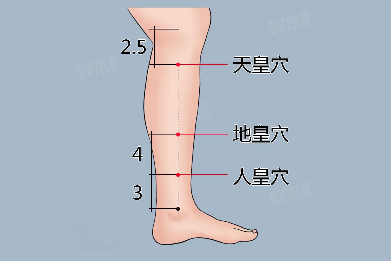 下三皇准确位置和功效