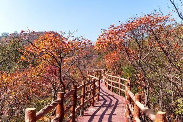 《寻味狼山：冬日里的风景与美食之旅，四日游攻略》狼山风景区
