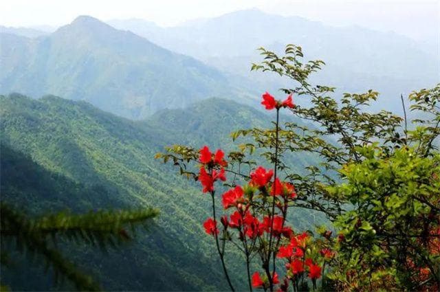 清明雨诗词五首：清明节，雨晴天，归路草和烟