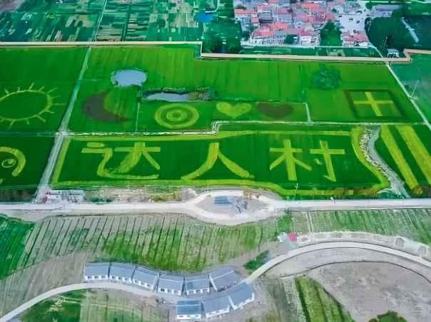 六个典型乡村振兴成功案例