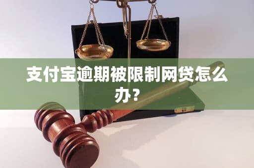 支付宝逾期被限制网贷怎么办？