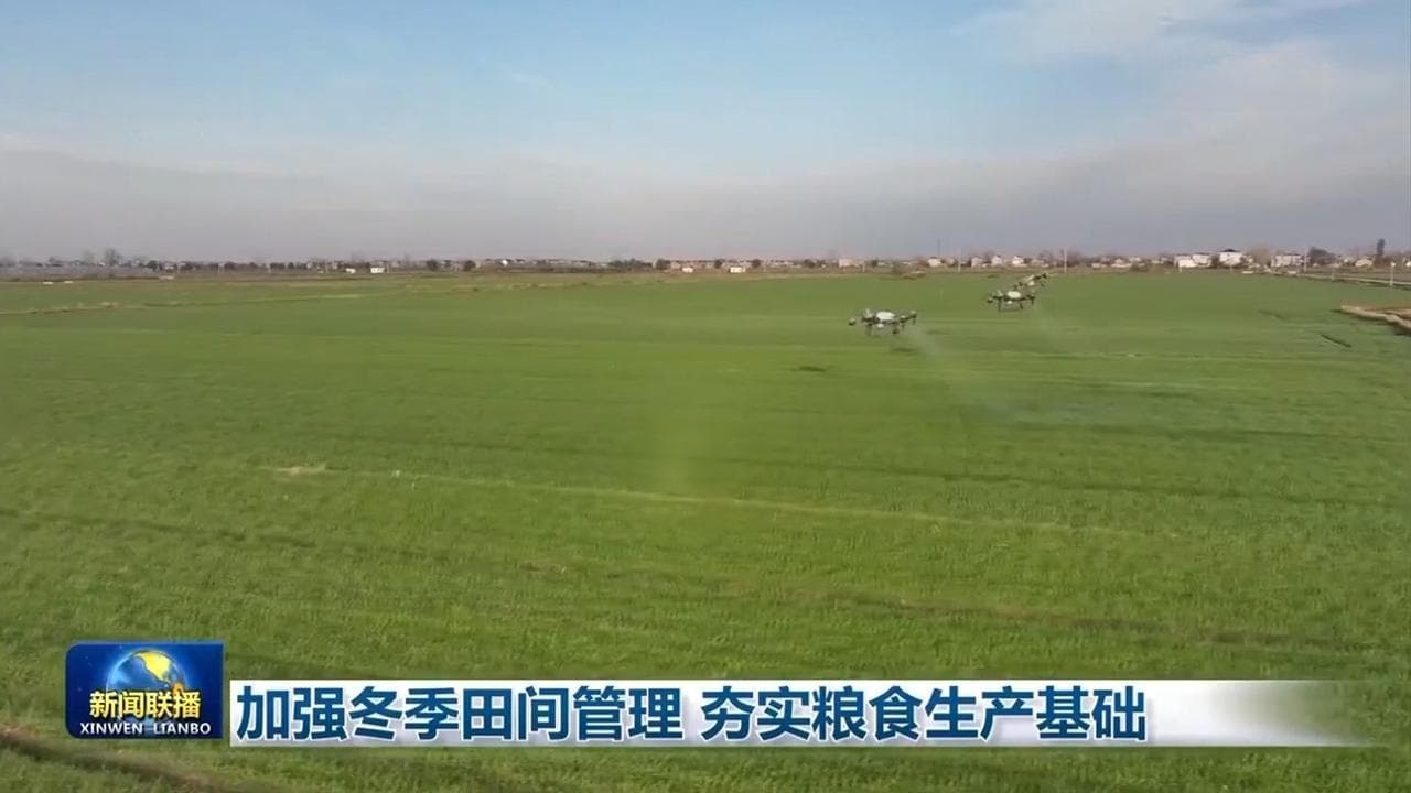 加强冬季田间管理 夯实粮食生产基础