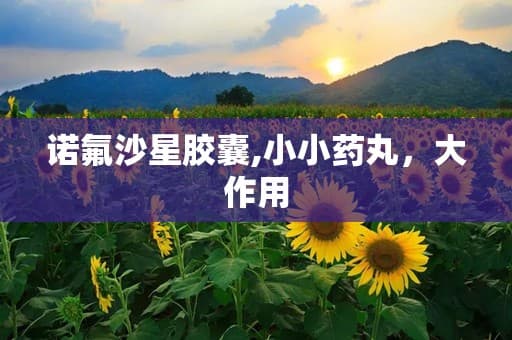 诺氟沙星胶囊：广谱抗菌药物的全面解析
