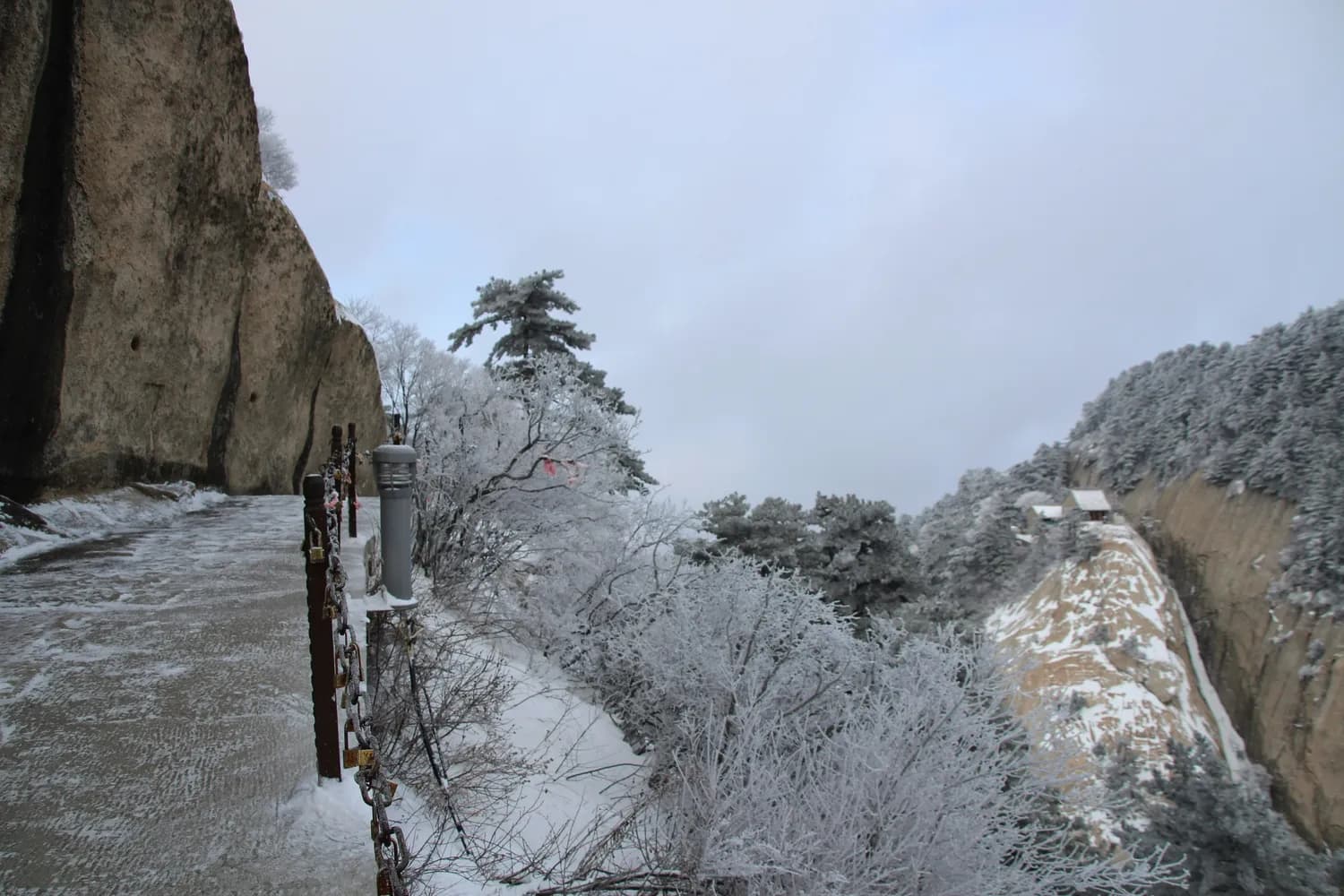 泰山+青岛：元旦避坑终极指南
