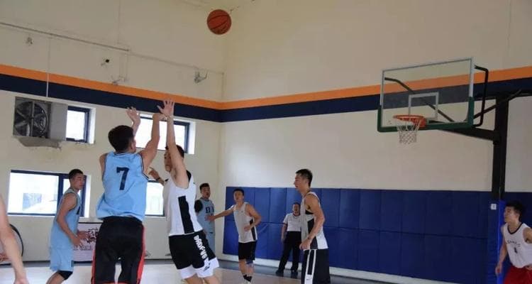 3v3篮球规则解析：防守三秒区对防守的影响及策略分析