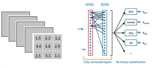 全连接层（Fully Connected Layer）与其在神经网络中的应用