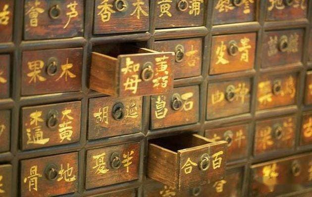 陈士铎先生及其《辨证玉函》