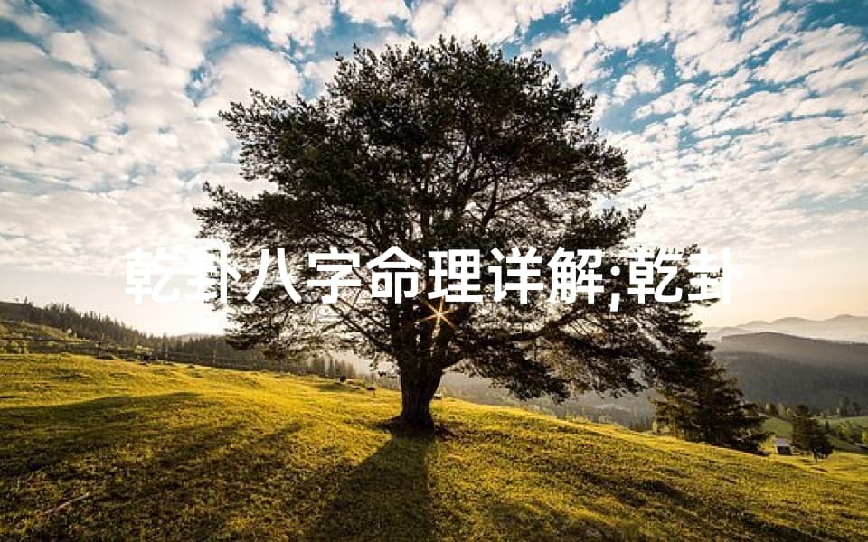 乾卦八字命理详解：乾卦的八个卦图
