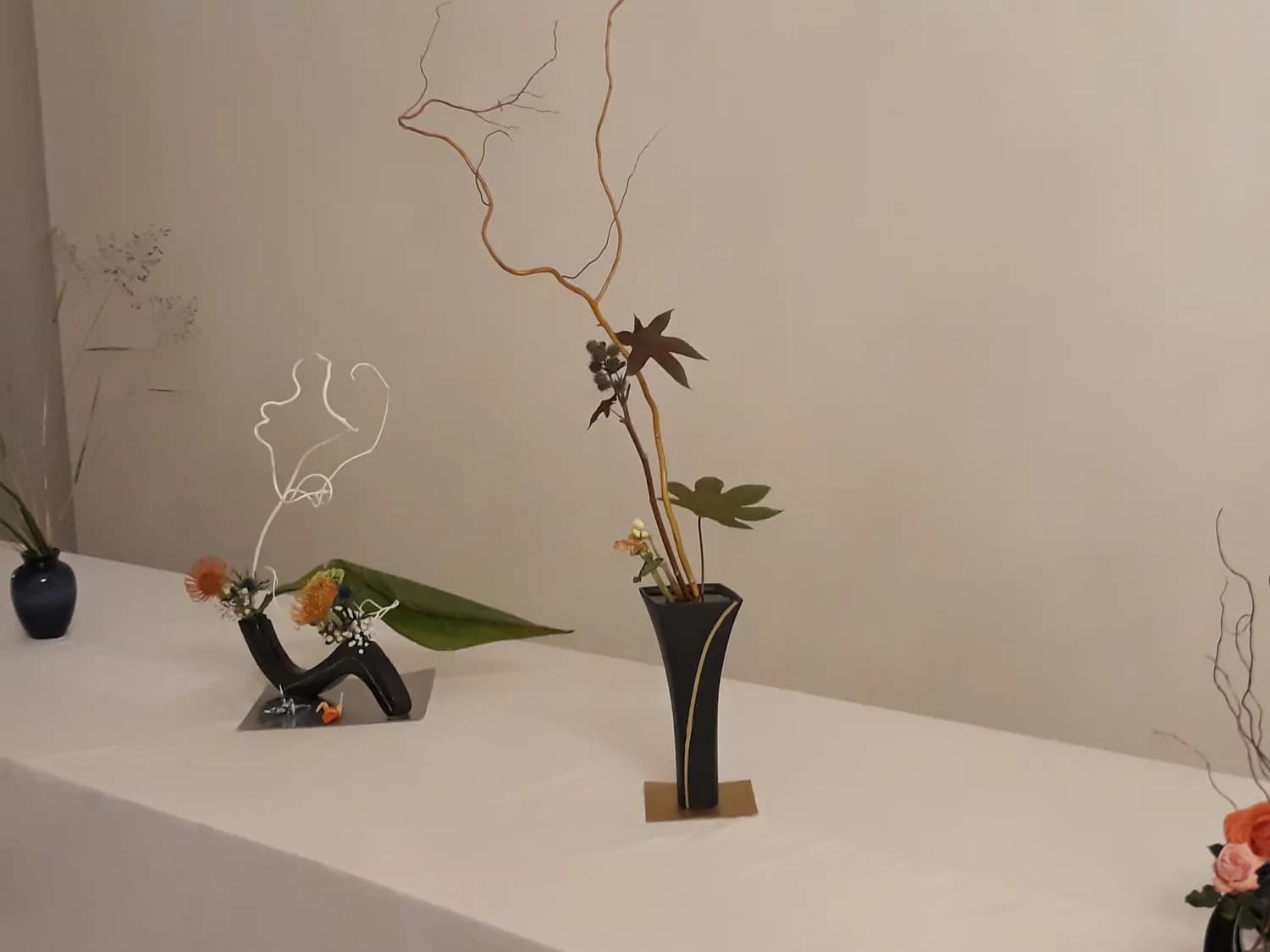 苏州园林春节活动大揭秘：花会市集全攻略