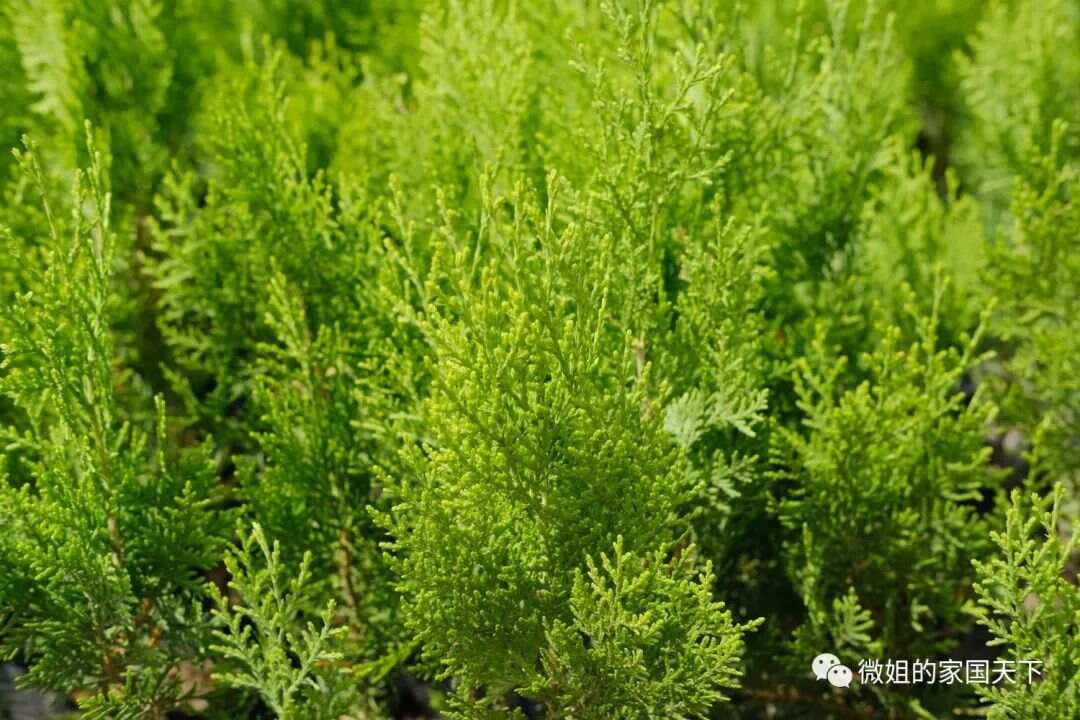 人际关系四个层次：从社交到托底