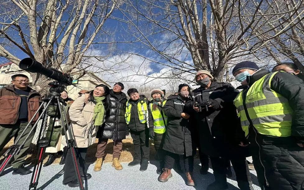 她们，在西藏坚持公益做"高原生态守护者"口述史