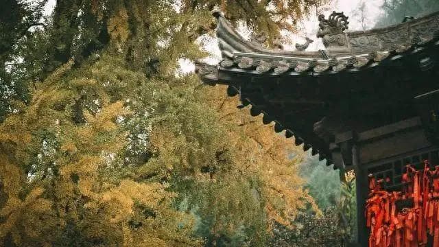 西安7个绝美的赏秋景点推荐，绝对惊艳你的朋友圈！