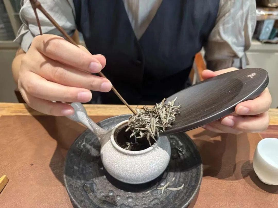 茶艺师经验总结：学会这10步，让你优雅地泡出好喝的茶