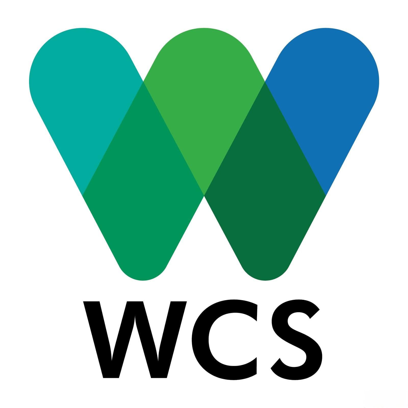 从打击野生物贸易到保护旗舰物种，WCS在中国的保护之路