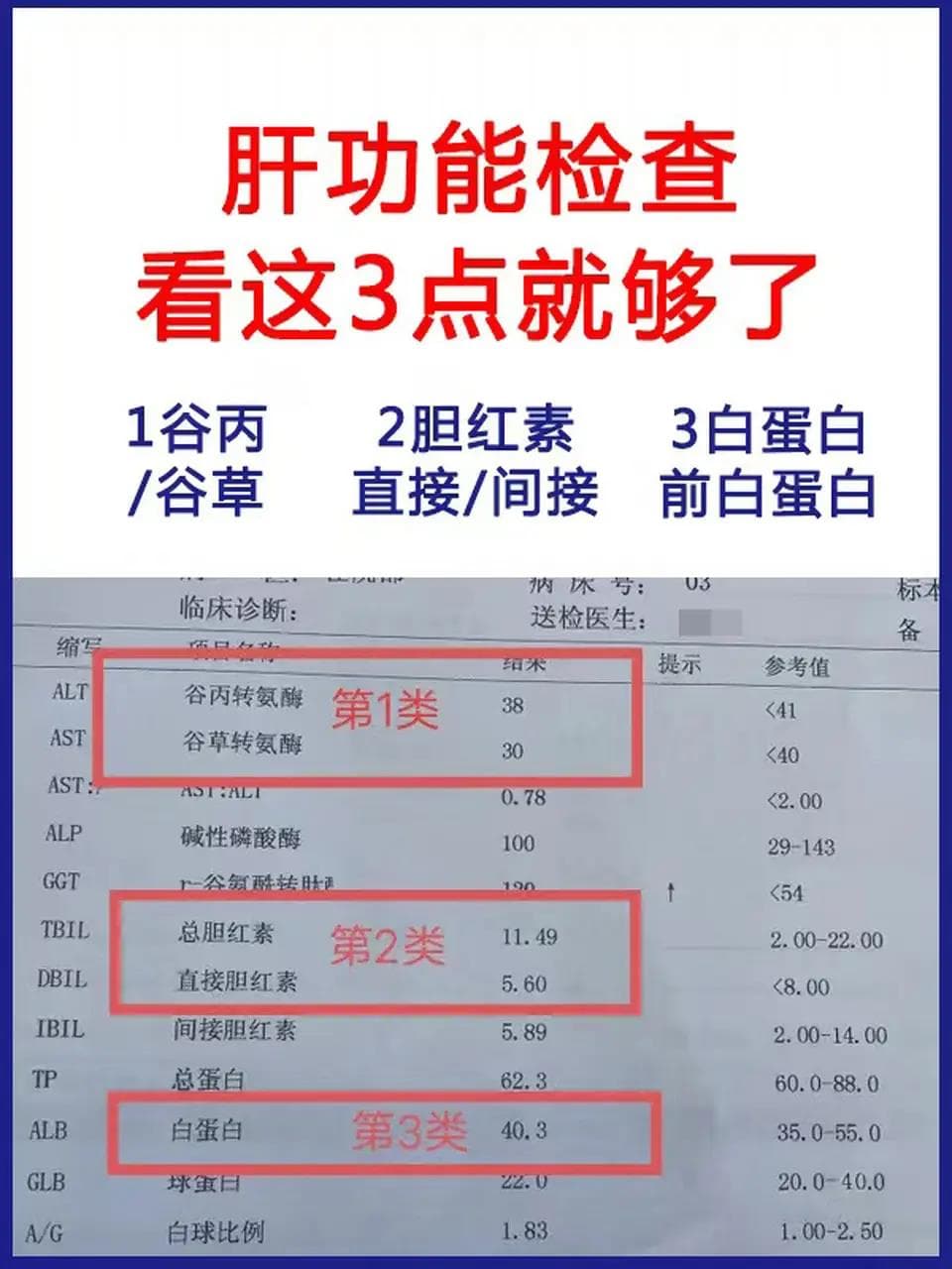 肝脏血液检查报告解读：关键指标一文看懂
