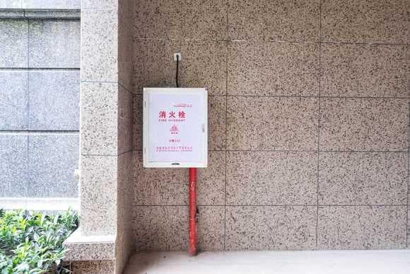 小区公共收益包含哪些