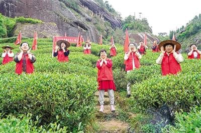 跟着宋徽宗学品茶