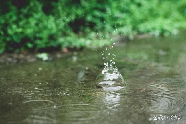 今年雨水不一般 60年一遇有3大特点 降雨多物候乱