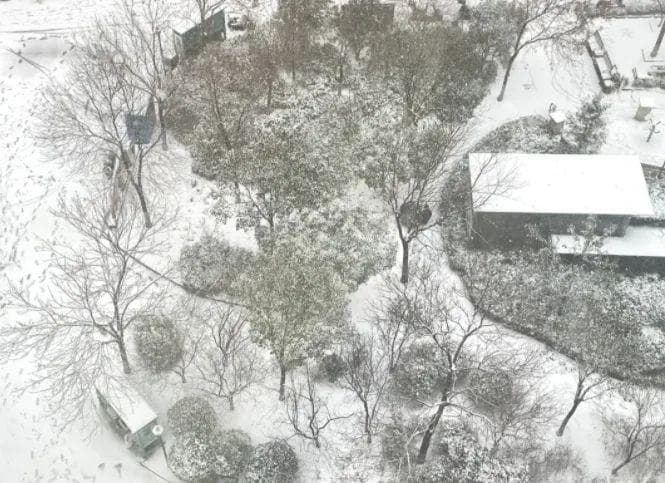 停课、非必要不出行！多地紧急通知