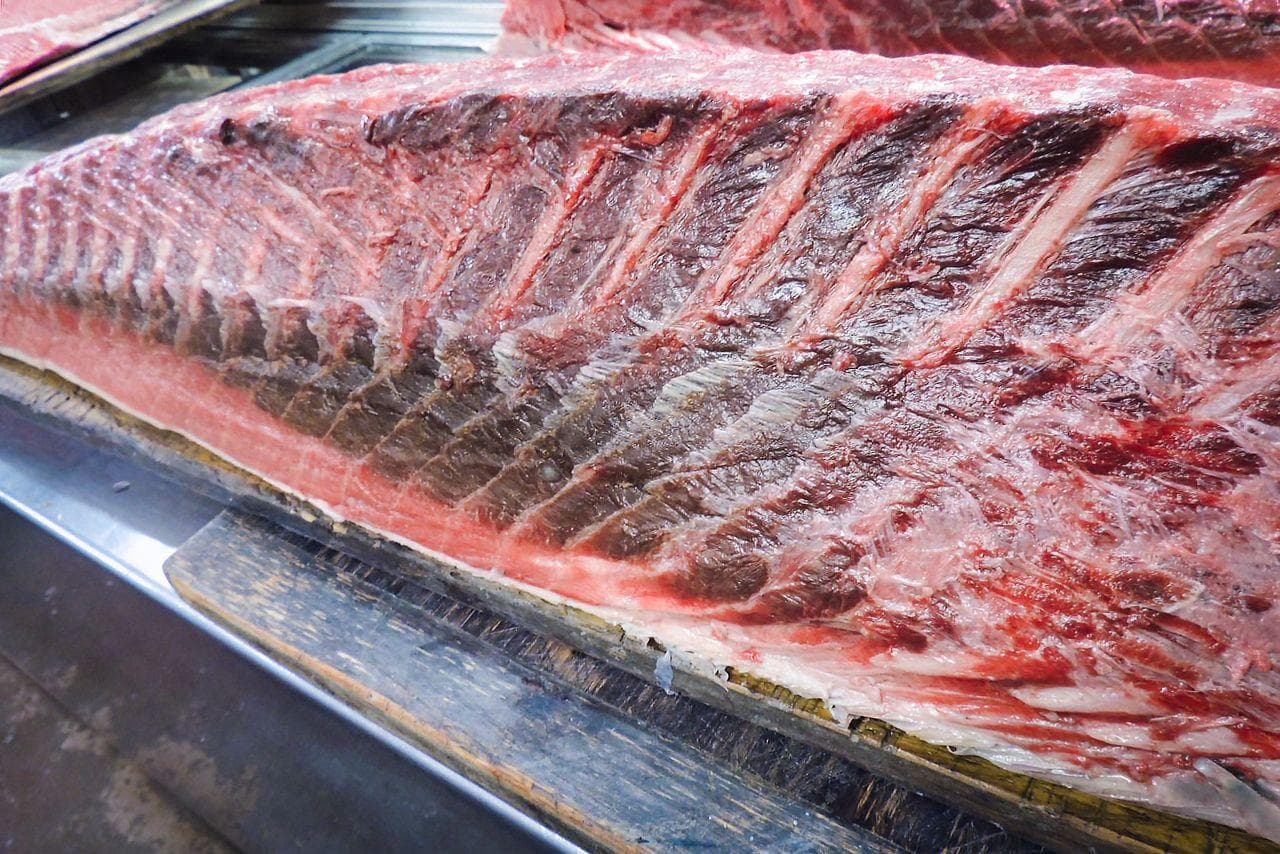 金枪鱼“血合肉”营养价值大揭秘：抗氧化物质含量丰富，三崎港创新研发新吃法
