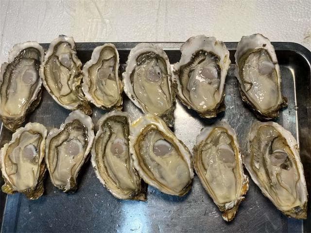 生蚝冷水蒸还是热水蒸？烹饪大揭秘带你领略最佳风味！