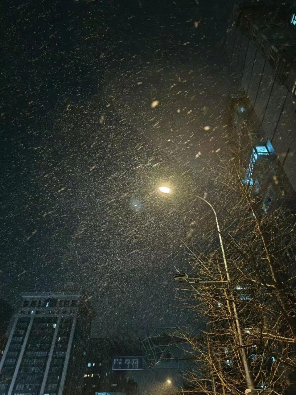 北京怎么突然下雪了？气象部门分析成因：“大力出奇迹”