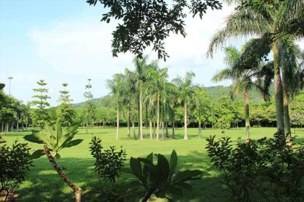深圳最大免费公园东湖：杜鹃花展成市民周末打卡地