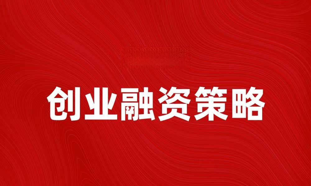 创业融资的关键策略与成功案例分析