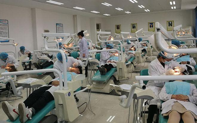 口腔解剖虚拟仿真教学系统的构建与应用