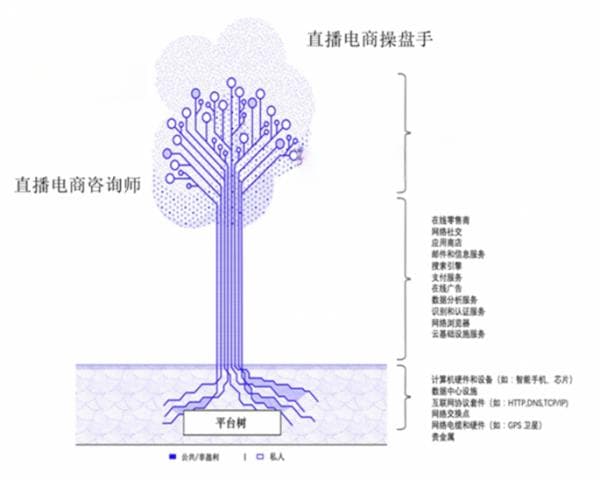 带动174个新职业！直播电商为人才就业创造机遇