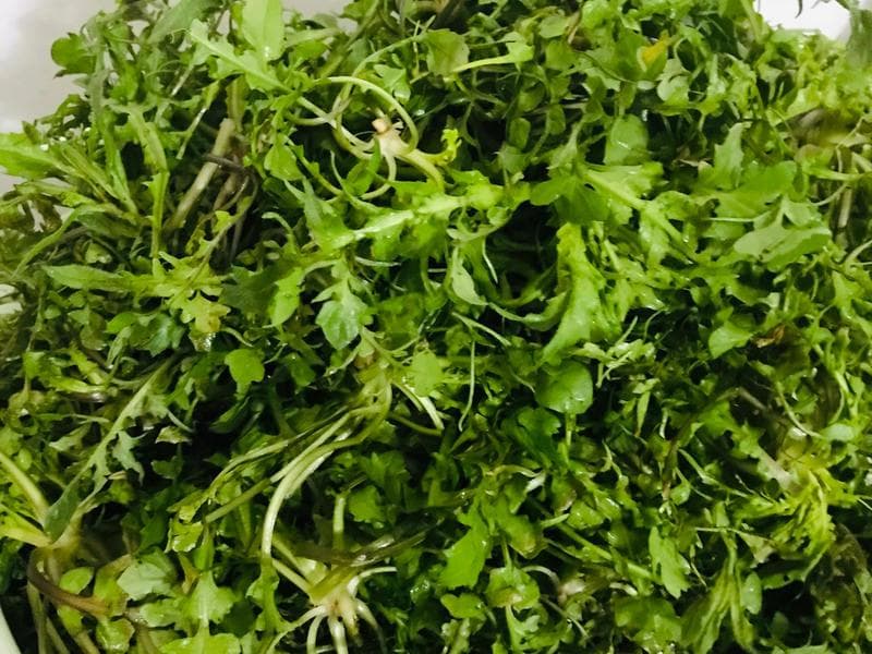 地米菜（荠菜）的保存及烹饪方式