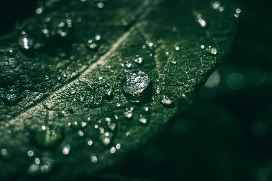 湿气重的人，这5种水果尽量要少吃
