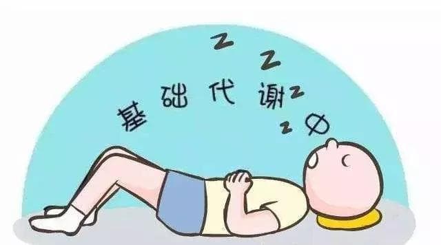 基础代谢率不知道还能减肥？提高代谢率7个方法，都是减肥捷径