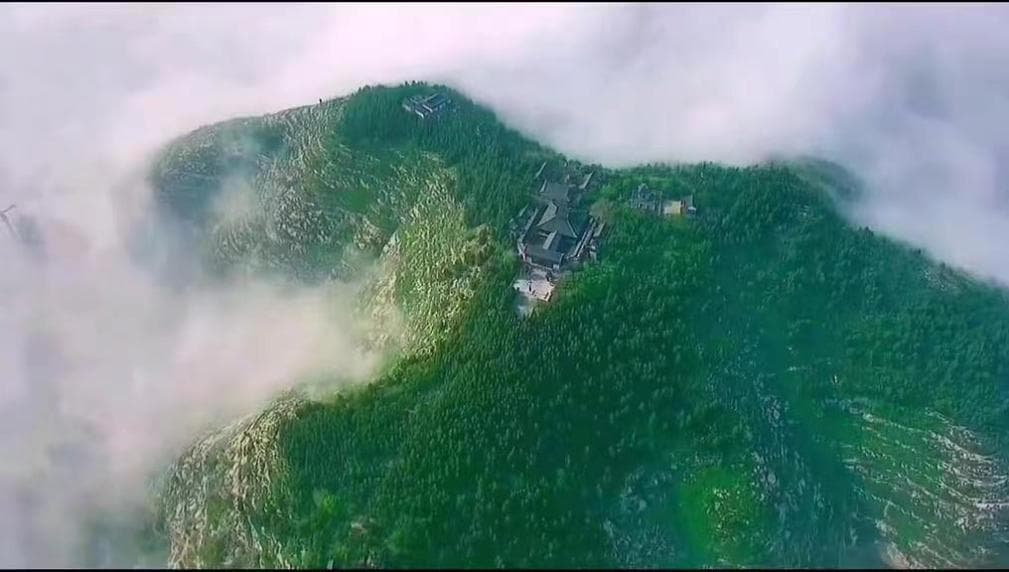 济宁梁山县：数字化赋能打响“梁山黄牛”品牌