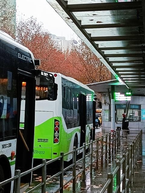 一文掌握上海交通卡：从办理到退卡全流程指南