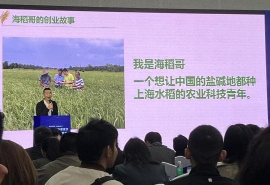大学生创业怎么“从0到1”？他们分享经验