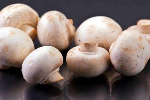 十大维生素B2食物含量排行榜：香菇上榜，第五适合减肥人群
