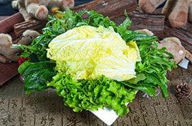 青菜百科：营养保健功效多，种植食用全攻略