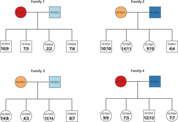 中国科学家揭示斑胸草雀新生突变特征与分布规律