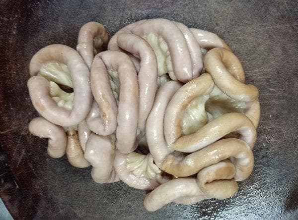 大肠热是什么意思？症状、检查与治疗方法全解析