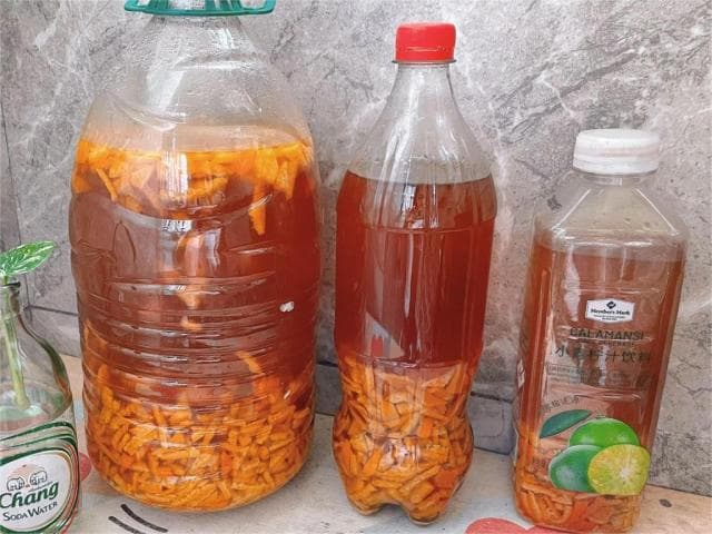 阳台植物病虫害防治“土办法”有哪些？