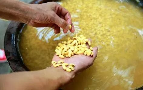 传统手工：豆腐的传统制作过程
