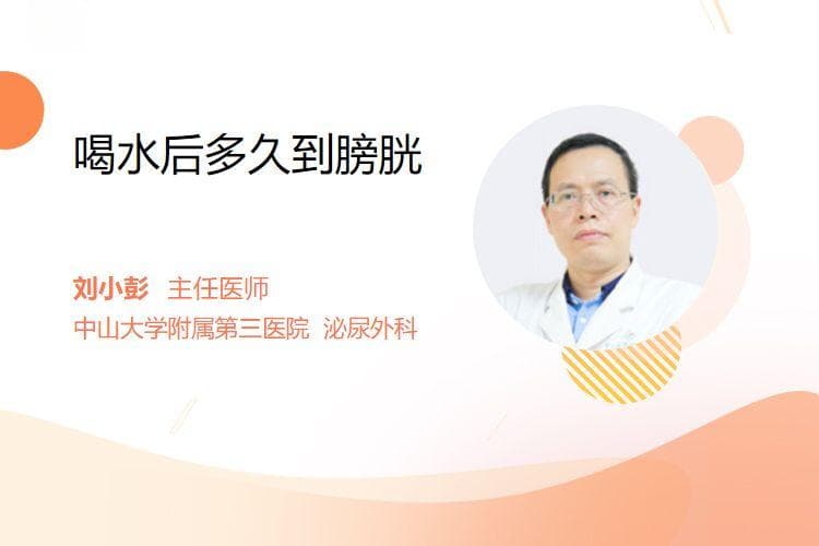 喝水后多久到膀胱