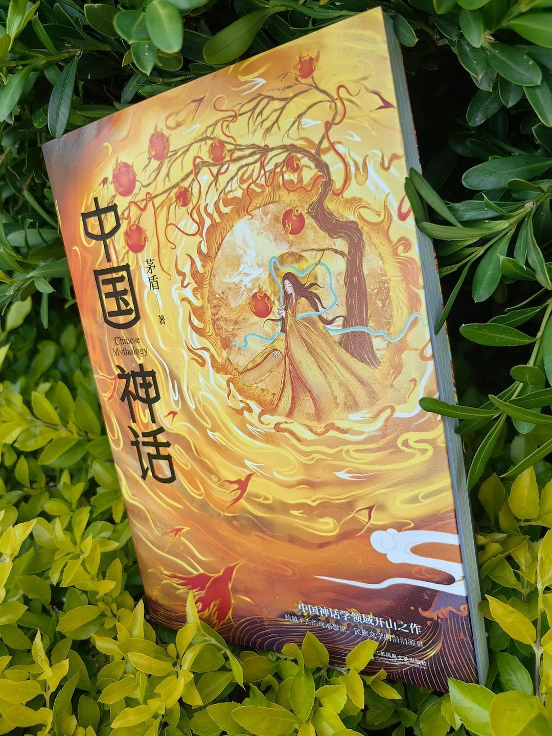 茅盾先生研究中国神话的经典著作，堪称丰碑