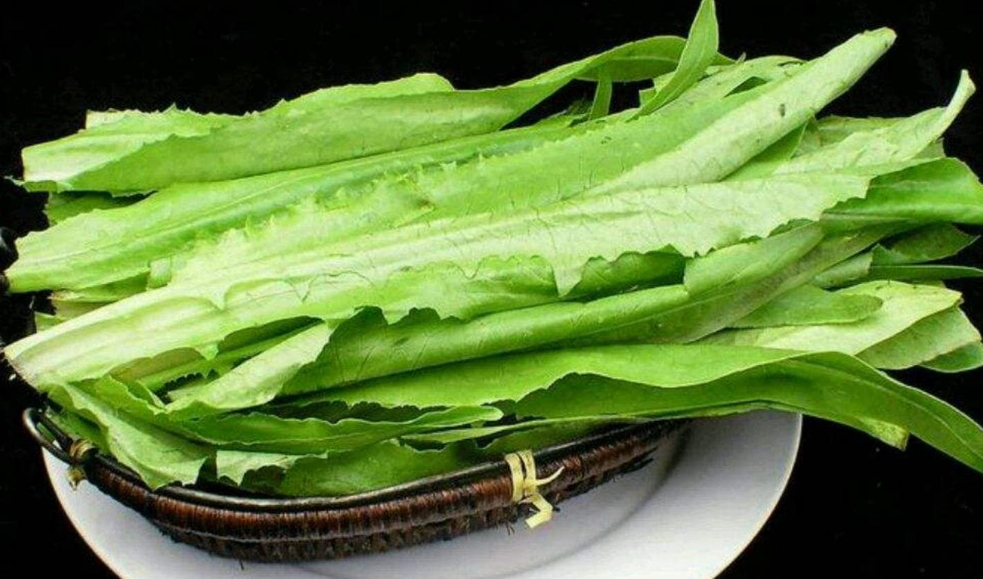 油麦菜怎么做好吃？5种油麦菜的家常做法