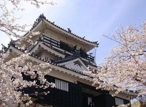 去日本就职需要通过日本语言学校吗？日本语言学校推荐