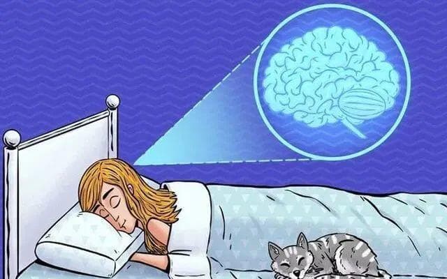 重塑生活，脑梗偏瘫患者的康复之路