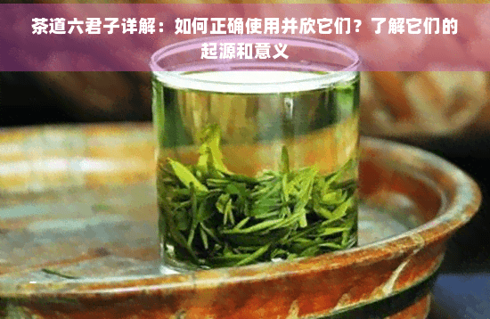 茶道六君子详解：如何正确使用并欣它们？了解它们的起源和意义