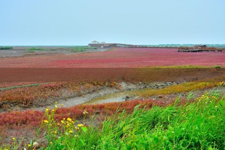 福建厦门旅游预算指南：全面解析厦门游费用与开销